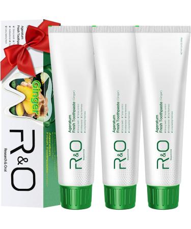 R&O Ginger Mint Fresh Toothpaste 3.53 oz - A Miracle for Oral Hygiene Maintains Fresh Breath Relieves Oral Discomfort Removes Dental Plaque (3) - Buy Online on GoSupps.com