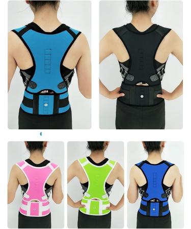 Waist Trainer Support Back Brace Posture Corrector for Women and Men Lumbar Shoulder Posture Support for Improve Posture Provide Back Pain Relief (Color : B Size : Large) (C X) - Buy Online on GoSupps.com