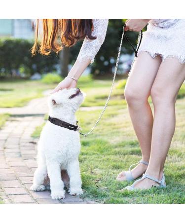 Petom Strong Metal Dog Leash - 120cm with PU Leather & Padded Handle for All Dog Sizes - Buy Online on GoSupps.com