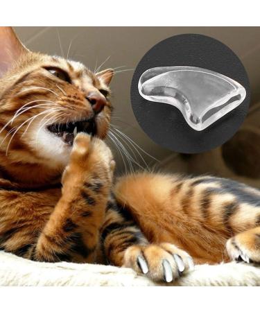 YOUTHINK 100Pcs Soft Cat Nail Caps - Anti-Scratch Claw Protector for Dogs & Cats (XS White) - Safe & Comfortable Covers for Pet Paws - Buy Online on GoSupps.com