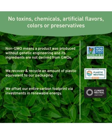 100 Count HANDPICK Non-GMO Peppermint Tea Bags - Pure Herbal Tea with Minty Fresh Flavor | Eco-friendly Packaging - Buy Online on GoSupps.com