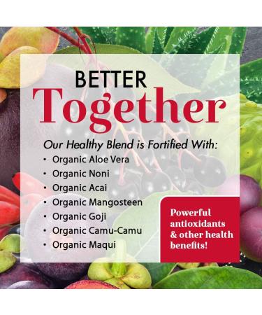 Dynamic Health Laboratories Healthy Blend 32 fl oz - Nutrient-Rich Superfood Juice - Buy Online on GoSupps.com