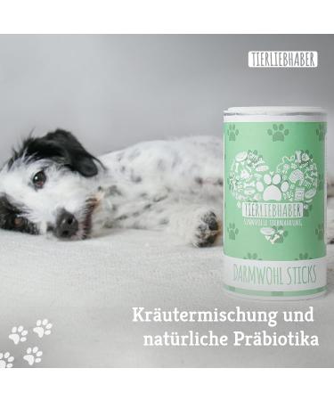Animal Lovers Darmwohl Sticks for Dogs | Natural Treats for Healthy Digestion & Intestinal Health - 100% Plant-Based with Prebiotics Herbs & Volcanic Earth - Buy Online on GoSupps.com