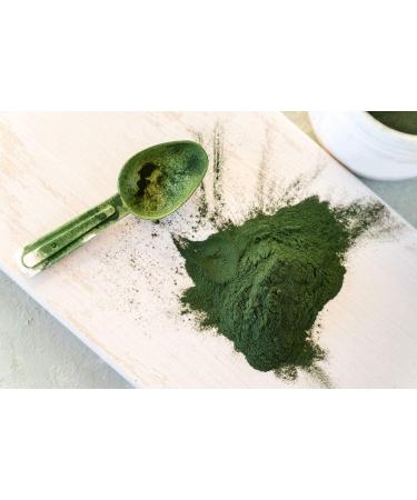 Organic Chlorella Powder 1lb - Non-GMO, Kosher, Vegan Superfood with Broken Cell Wall - Rich in Vitamins & Minerals - Great for Drinks - Bulk Pure Green Protein - Buy Online on GoSupps.com