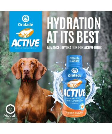 oralade Active Isotonic Hydration Fluid For Dogs Chicken Duck Or Vegetable 250ml (Chicken 6 Pack) - Buy Online on GoSupps.com