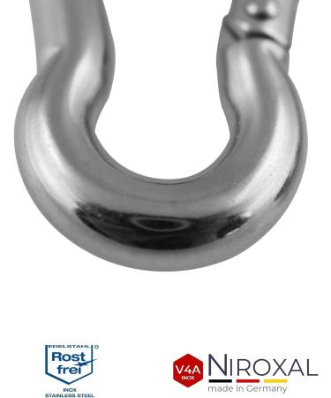 10 Small Stainless Steel Carabiner Hooks - 3mm Strong Keychain with 200kg Break Load - Ideal for Hammocks & Swing - Durable Edestahlkarabiner - Buy Online on GoSupps.com