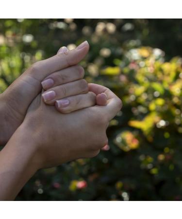 WELEDA Bio Pomegranate & Sanddorn Hand Cream Bundle | Nourishing Natural Moisturizer for Delicate Cracked Hands - 100ml - Buy Online on GoSupps.com