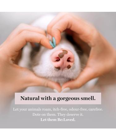 Be:soft - Paw and Nose Balm for Pets Intense Moisturiser Tested on Humans Natural Grooming Care with Shea Butter Beeswax Vitamin E Manuka Honey and more - Be:Loved (250g) - Buy Online on GoSupps.com