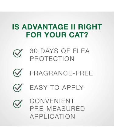 Advantage II Flea Treatment for Small Cats (5-9 lbs) - 2-Pack | Fast-Acting Flea Prevention for Small Cat Breeds - Buy Online on GoSupps.com