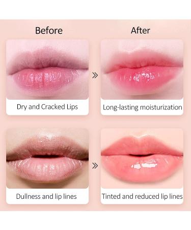 Erinde Tinted Lip Balm: Hydrating 2-in-1 Lip Gloss & Lipstick for Dry Lips | Natural Gloss Finish, Reduce Wrinkles, Winter Lip Care | Moisturizing Balm (3 Pack) - Buy Online on GoSupps.com