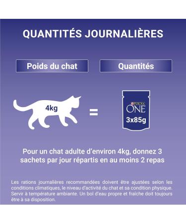 PURINA ONE Adult Tapered in Sauce Assorted Flavors Chicken and Beef Meal Bags for Adult Cats 4x85g | Pack of 12 - Buy Online on GoSupps.com