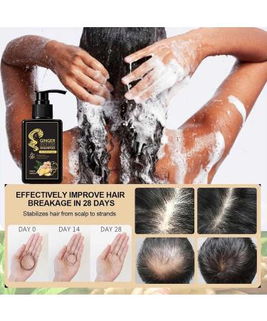 Shampooing au gingembre - Nettoyage limination des pellicules paississant nourrissant le cuir chevelu nettoyage en profondeur et contr le de l'huile aide arr ter la perte pour des cheveux - Buy Online on GoSupps.com