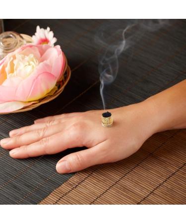 Exceart 10-Pack Cardboard Moxa Sticks & Holder - Premium Chinese Moxibustion Tools for Hyperthermia Treatment - Buy Online on GoSupps.com