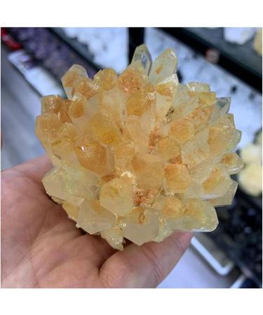 Natural Crystal Rough Crystal Cluster Natural Rare Yellow Quartz Crystal Cluster Specimen (Size : 150-200g) - Buy Online on GoSupps.com