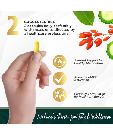 oliv Pure Berberine Supplement Capsules Berberine HCI 1000mg - Natural Metabolic Support with 200mg Bitter Melon Fruit Extract and 50mg Banaba Leaf 2 Veggie Capsules Daily (30 Servings) - Buy Online on GoSupps.com