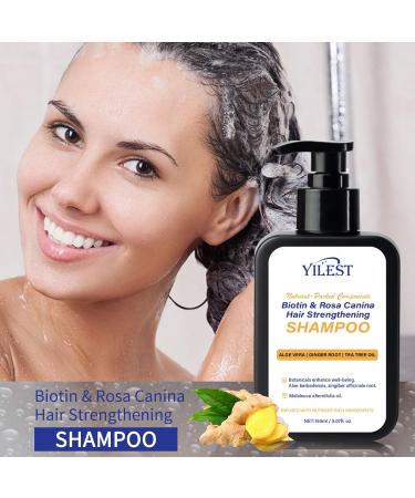 LMDGDS Rosemary shampoo with tea tree oil shampoo against hair loss Root Activating Shampoo 150 ml - Buy Online on GoSupps.com