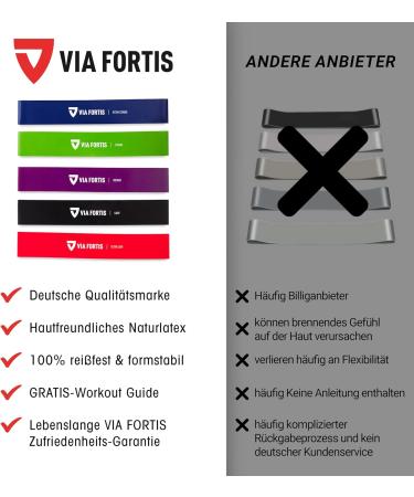 Via Fortis Fitness Straps Set - 5 Resistance Bands with German Instructions & Carry Bags | Ultimate Training & Gymnastics Gear - Buy Online on GoSupps.com