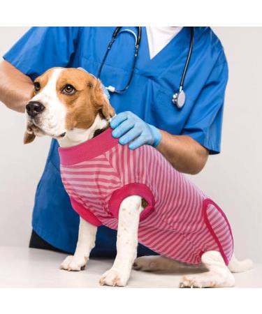 Hjumarayan Dog Recovery Suit - Medical Shirt for Small & Medium Dogs | Anti-Lick Protective Clothing | Post-Surgery Wound Care - Red Striped M Size - Buy Online on GoSupps.com