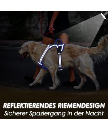 Eyin Adjustable Dog Harness for Small Dogs - Breathable Reflective Padded with Handle - Ideal for Daily Training (Light Blue Size S) - Buy Online on GoSupps.com