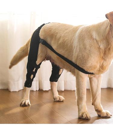 WOBBLO Support for Dog Knee Brace for Rear Leg | Pet Leg Wounds Protector Hip Joint Support Protects Wounds for Small and Medium Dogs - Buy Online on GoSupps.com