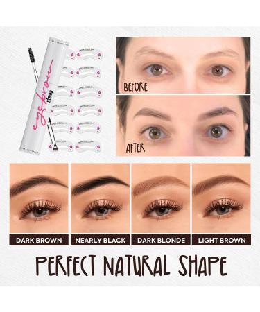 VIOLA HOUSE Eyebrow Stamp Stencil Kit 2 colors in 1 brow pencil powder 1 brush+24pcs eyebrow stamp waterproof long lasting eyebrow tinting powder(Light brown & dark brown) - Buy Online on GoSupps.com