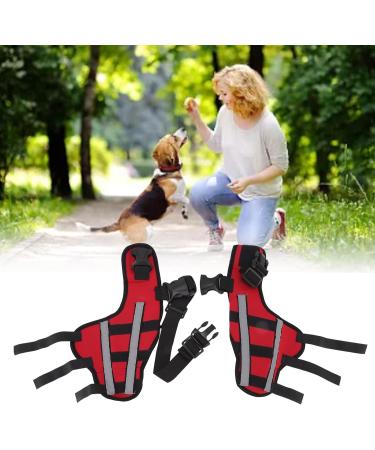 Dog Knee Brace Elastic Dog Leg Brace with Reflective Strips Pet Dog Rear Leg Bracer Support for Hind and Rear Leg Pet Knee Brace for Joint Pain Knee Dislocation (L) - Buy Online on GoSupps.com
