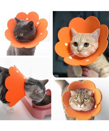 Adjustable Pet Cone Collar for Cats - 2 Pack Soft Protective Recovery Collar in Orange | Prevents Licking Wounds after Surgery (Large) - Buy Online on GoSupps.com