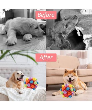 Buy Sniffed Ball for Dogs | Interactive Sniffing & Intelligence Toys | Odor Training & Washable Snack Ball - Buy Online on GoSupps.com