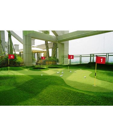 XCELLENT Golf Green Cups Set with Practice Balls, Tees, and 4Pcs Golf Cups - Buy Online on GoSupps.com