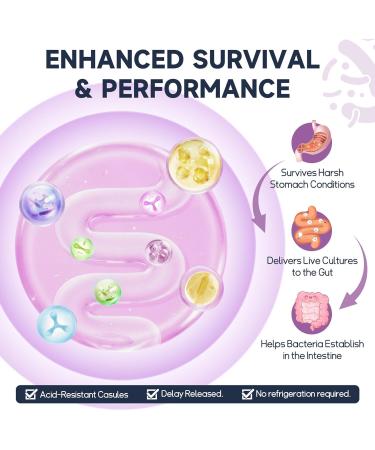 10-in-1 Magnesium Complex Supplement with Probiotics Prebiotics & Digestive Enzymes 100 Billion CFU Probiotics for Women Daily Probiotic for Muscle Sleep Calm Gut & Digestive Health Vegan Non-GMO - Buy Online on GoSupps.com