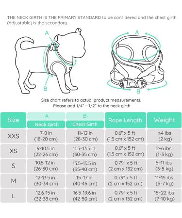 Buy Bella & Pal Small Dog Harness with Leash - Breathable Air Mesh Reflective Design Perfect for Puppies & Cats - Mint Green (S: 35-40cm) - Buy Online on GoSupps.com