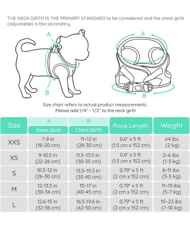 Shop Bella & Pal Small Dog Harness with Leash | Air Mesh Reflective Breathable | Perfect for Puppies & Cats - XXS (28-30 cm) Light Green - Buy Online on GoSupps.com