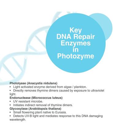 Photozyme DNA Youth Recovery Anti Aging Facial Serum | Repair Enzymes | Skincare Treatment for Wrinkles, Acne Scars | Dark Spot Corrector - 1.7 Fl Oz - Buy Online on GoSupps.com