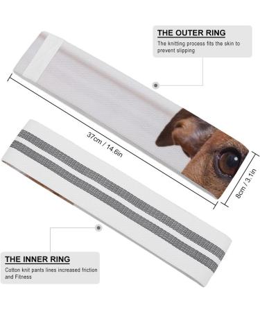Shop Cute Jack Russell Terrier Yoga Bands - Comfortable Resistance Straps for Booty & Legs | Ideal for Physical Therapy - Buy Online on GoSupps.com