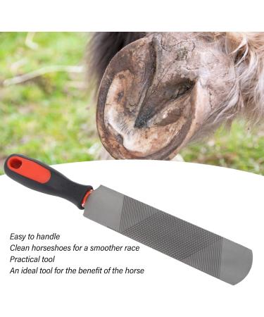 HEEPDD 8-Inch Hoof Scale & Double-Sided Horseshoe Files Carbon Steel Farrier Tools for Horses - Buy Online on GoSupps.com