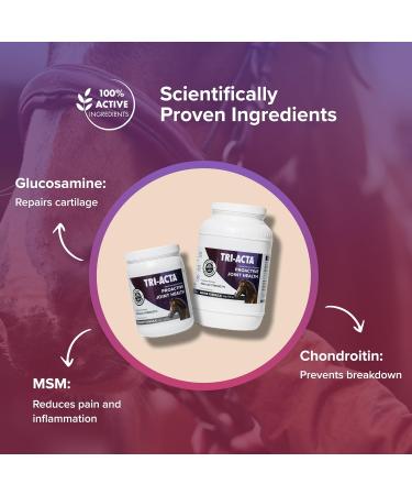 Integricare - Tri-Acta Equine Formula All-Natural Horse Joint Supplement with Glucosamine Chondroitin and Msm for Horses 3kg - Buy Online on GoSupps.com
