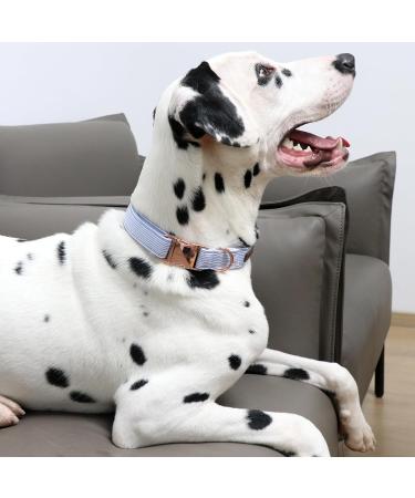 Buy Unique Adjustable Blue Stripes Dog Collar & Leash for Small Medium and Large Pets - International Shipping Available - Buy Online on GoSupps.com
