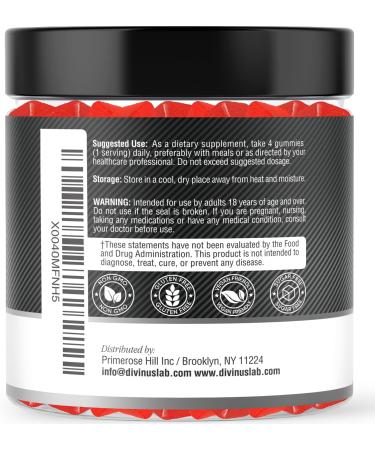 Creatine Monohydrate Gummies 5g - Sugar-Free Vegan Creatine Chews for Muscle & Strength | 120 Count Energy Boost Supplement - Buy Online on GoSupps.com