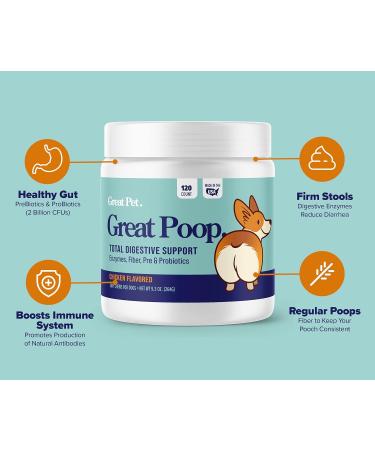 Great Poop Probiotics for Dogs - Fiber Supplement & Digestive Enzymes Chews for Healthy Gut & Firm Stool - Chicken Flavor - 120 Ct - Buy Online on GoSupps.com