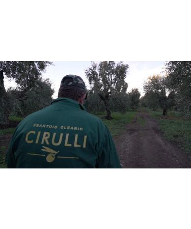 Cirulli Italian Cold-Extracted Extra Virgin Olive Oil 2 Bag in Box EVO (2 x 3 Litres) - Buy Online on GoSupps.com