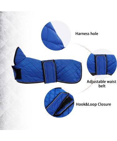 Warm Thermal Quilted Dachshund Coat - Blue - Size L - Winter Dog Apparel with Fleece Lining - Buy Online on GoSupps.com