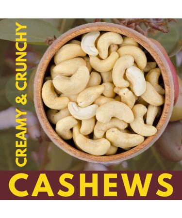 Whole Raw Cashews 320 Bulk Nuts - 5 lbs - We Got Nuts - Buy Online on GoSupps.com