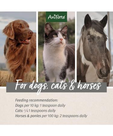 AniForte Premium Salmon Oil 500ml for Dogs, Cats, Horses & Pets - Natural Norwegian Fish Oil Supplement with Omega 3, 6, EPA, DHA & ALA for Coat, Skin, Joints & Brain Health - Buy Online on GoSupps.com