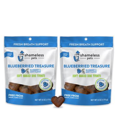 SHAMELESS PETS Soft Dog Treats - Natural, Healthy Dog Treats Made with Upcycled Ingredients & Zero Artificial Flavors, Grain Free Dog Biscuits Blueberried Treasure 6 Ounce (Pack of 2)