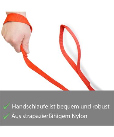 Buy Safe Horse Guide with Iron Chain & Nylon Handle - Perfect for Stallions Dogs Ponies & Donkeys - 2.10m Length (2x Red) - Buy Online on GoSupps.com