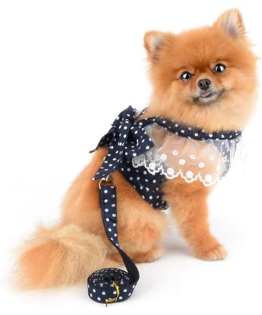 SMALLLEE_LUCKY_STORE Pet Polka Dot Princess Harness Dress and Leash for Small Dogs Cats Girls with D-ring Bow Lace Trim Female Puppy Yorkie Chihuahua Summer Clothes Blue M M blue - Buy Online on GoSupps.com