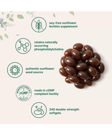 Micro Ingredients Sunflower Lecithin 2 400mg 240 Softgels | Natural Sunflower Seed Oil Source with Phosphatidylcholine | Soy Free Lecithin Supplement | Non-GMO No Gluten - Buy Online on GoSupps.com