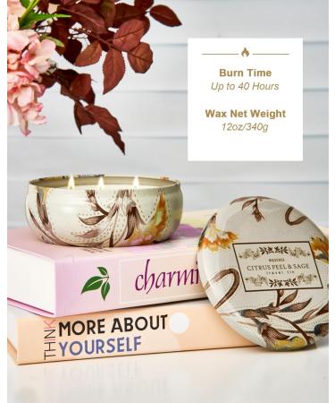 M&SENSE 3 Wick Soy Candle - Citrus & Sage Aromatherapy Candle for Stress Relief 12oz 40 Hour Burn Time Perfect Gift for Home Fragrance - Buy Online on GoSupps.com