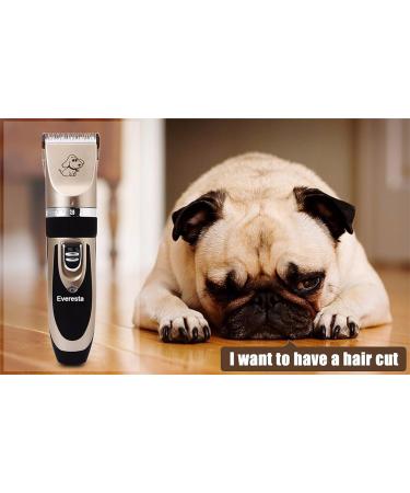 Everesta Low Noise Rechargeable Dog Clippers Kit for Pet Grooming - Gold+Black - Buy Online on GoSupps.com