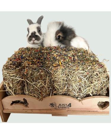 Springtime Forage Infused Baby Hay Bale for Rabbits and Guinea Pigs Fresh Fragrant Green Feeding Timothy Hay Dust Free High Fibre Dried Forage - Buy Online on GoSupps.com